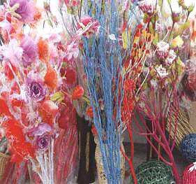 ���������ĸɻ�