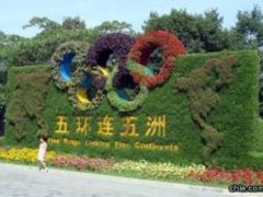 ����ֲ��@2008����h(hu��n)�B���ޡ����绨��չ