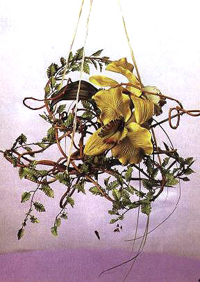 ���̵�����