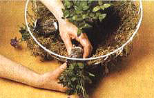 4�����̦�\��