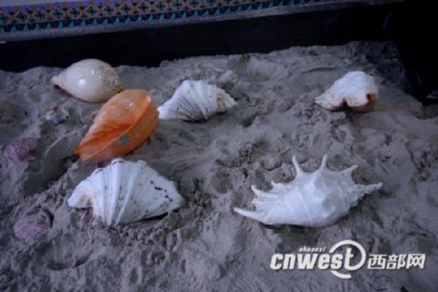 �������ت�����ɫ����С��