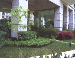 3���x�����ֲ��