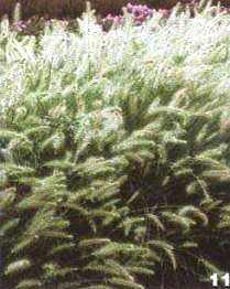 �|����β��