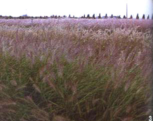 �Ϸ��@ˇ�^�p�����L����