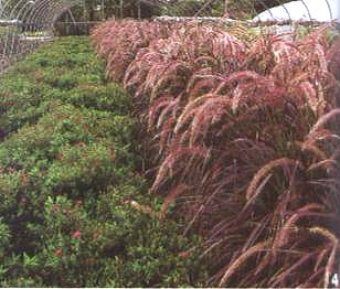 �Ϸ��@ˇ�^�p�����L����