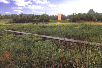 ���}�A����ˮ�����(y��u)ֲ��Ʒ�N��