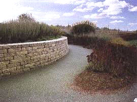 �аl(f��)�m����(ji��)ˮ�ͺ��͵���(y��u)ֲ��Ʒ�N