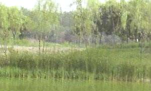 ˮ���G��֮��