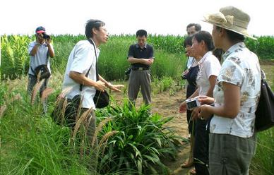 ���^�^�p��