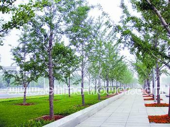 ������һ�ȵ��y�Ә��