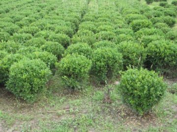 ���r�S��