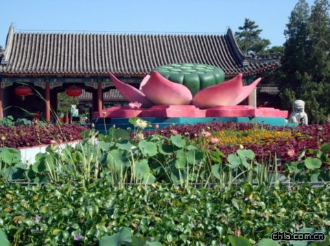 �A���@�ɻ�չ