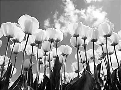 17���oǰ���ڣ�СС��������׌�������m��֮�V��