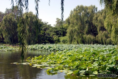 �A���@�ɻ�չ