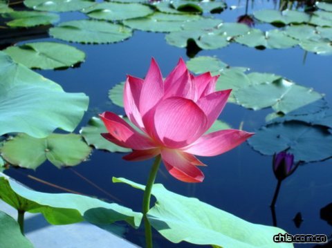 �A���@�ɻ�չ