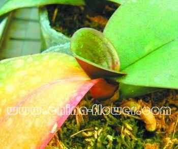 �����m�в��Y��