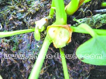 �l������