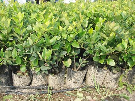 ���~Ůؑ������