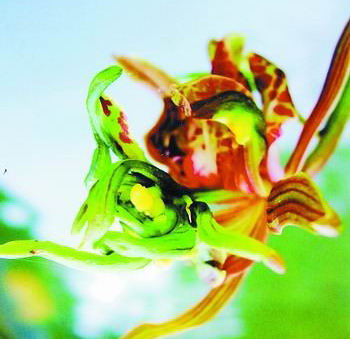 �m��Ʒ�N�������ĵ����ī�m��