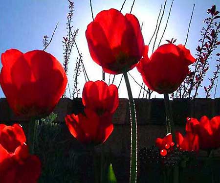 ���m������