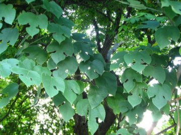 ��(g��u)��