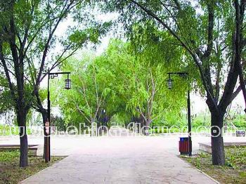 ��Ұ���@�龩��股��G߅��