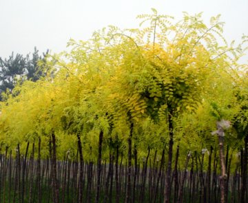 ���~����