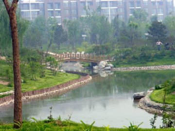 �������d�����@