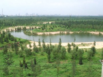 �|С��ɭ�ֹ��@