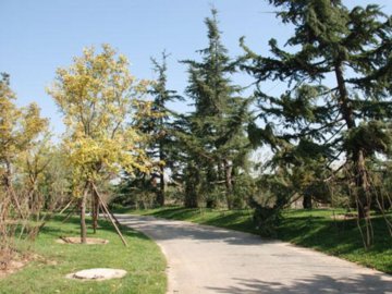 �������@