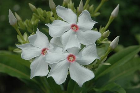 ���ݼ����Ķ�����