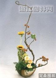 �ձ��廨���ɡ���δ����