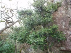 �����S��