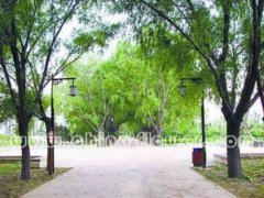 ��Ұ���@�龩��股��G߅��