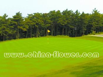 �|���؅^(q��)���(ch��ng)���X��ƺ��ȫԽ�Ĵ�ʩ