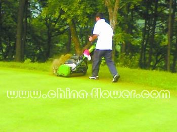 �|���؅^(q��)���(ch��ng)���X��ƺ��ȫԽ�Ĵ�ʩ