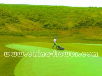 �|���؅^(q��)���(ch��ng)���X��ƺ��ȫԽ�Ĵ�ʩ