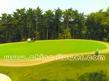 �|���؅^(q��)���(ch��ng)���X��ƺ��ȫԽ�Ĵ�ʩ