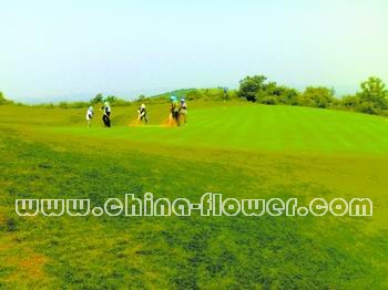 �|���؅^(q��)���(ch��ng)���X��ƺ��ȫԽ�Ĵ�ʩ