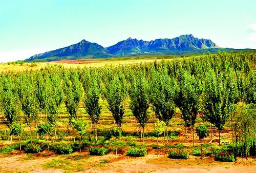 �S�򞩣���ɳĮ׃�G��