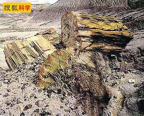 ���������؅^�l�F1.4�|��ǰ�Ꭷ��ľ��ʯ