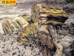 ���������؅^(q��)�l(f��)�F(xi��n)1.4�|��ǰ�Ꭷ��ľ��ʯ