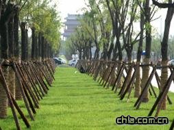 �����W�\(y��n)�G�������Ƽ�����