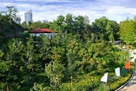 �����W�\�G�������Ƽ�����