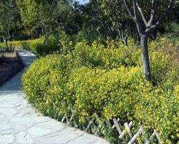 �����W�\(y��n)�G�������Ƽ�����