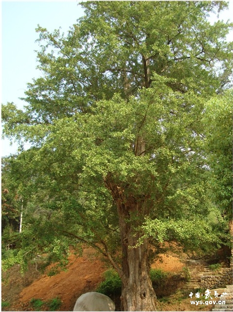 �c������D