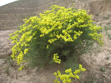 �S������