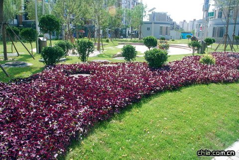 �W�\(y��n)��