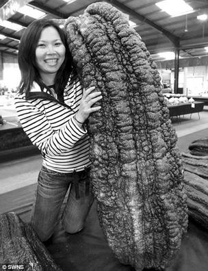 Ӣ�����ҘI���@ˇչ�[�����N�����Ϲϱ��޴�