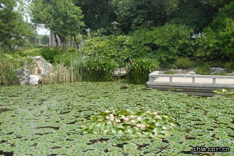 �Ͼ��G���@